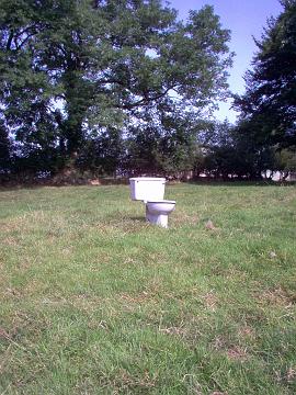 toilet 003